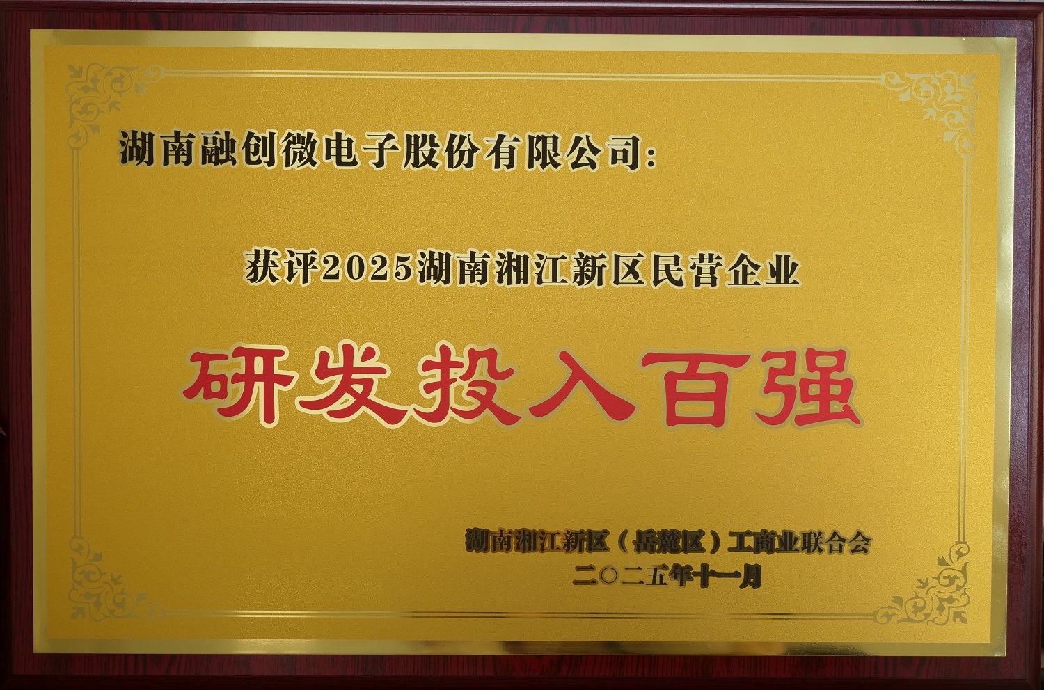 2025年研发投入百强