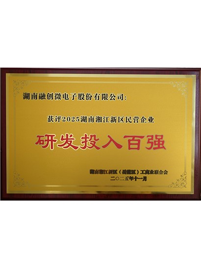 2025年研发投入百强